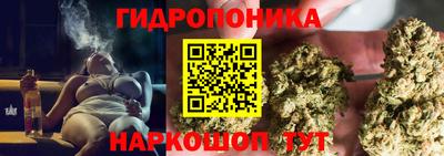 МДПВ Краснознаменск