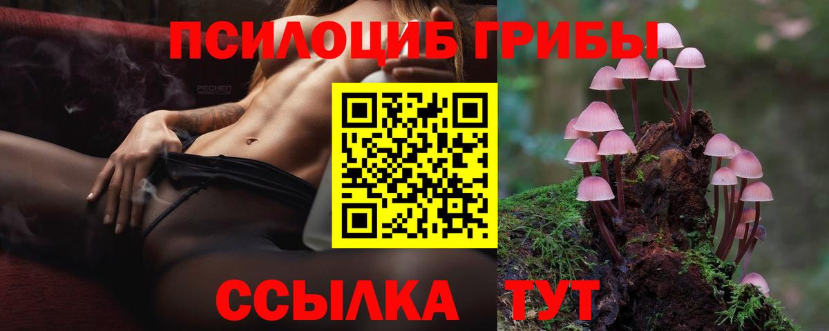 Вышний Волочёк  Галлюциногенные грибы прущие грибы  Вход с VPN  Псилоцибиновые грибы Magic Shrooms 